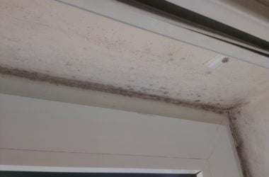 Mould